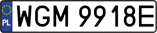 WGM9918E