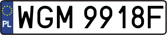 WGM9918F