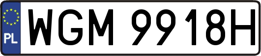 WGM9918H
