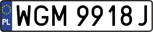 WGM9918J