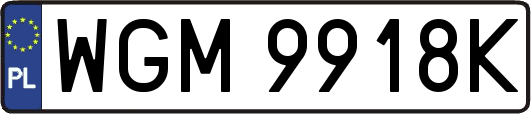 WGM9918K