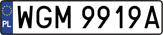 WGM9919A