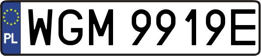 WGM9919E