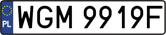 WGM9919F