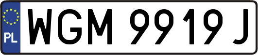 WGM9919J