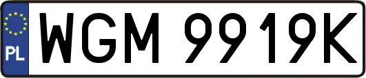 WGM9919K
