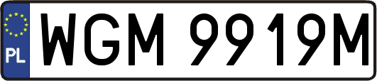 WGM9919M
