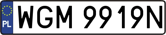 WGM9919N