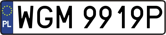 WGM9919P