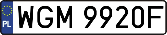 WGM9920F