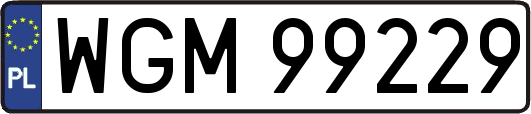 WGM99229