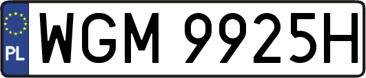 WGM9925H