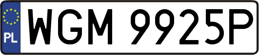 WGM9925P