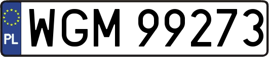 WGM99273