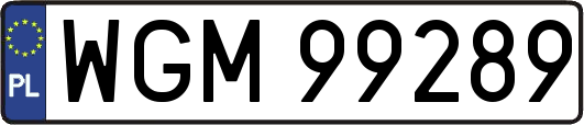 WGM99289