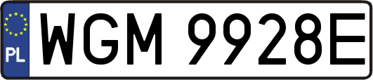 WGM9928E