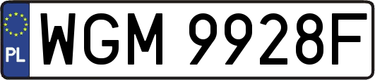 WGM9928F