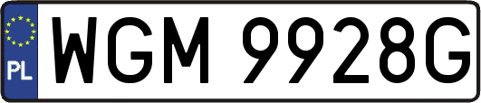 WGM9928G