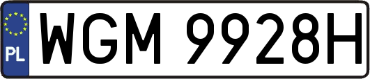 WGM9928H