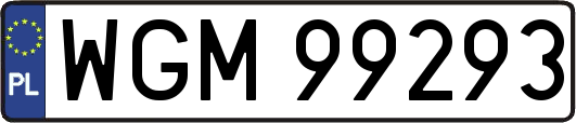 WGM99293