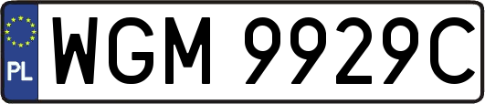 WGM9929C