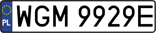 WGM9929E