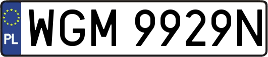 WGM9929N