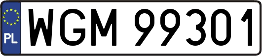 WGM99301