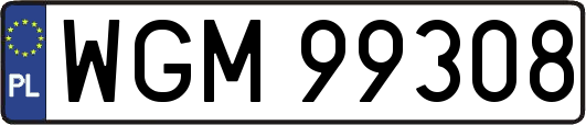 WGM99308