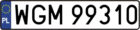 WGM99310
