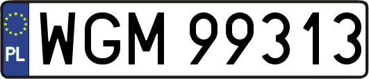 WGM99313