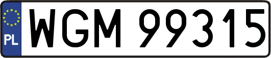 WGM99315