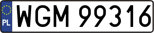 WGM99316
