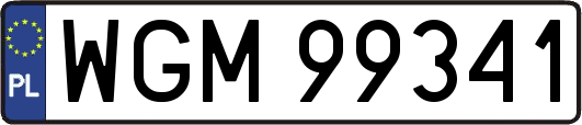 WGM99341
