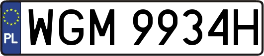WGM9934H