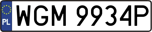 WGM9934P