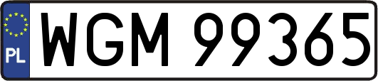 WGM99365