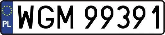 WGM99391