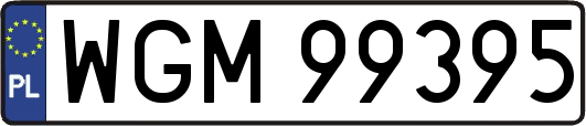 WGM99395