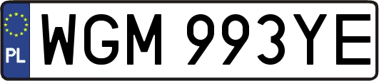 WGM993YE