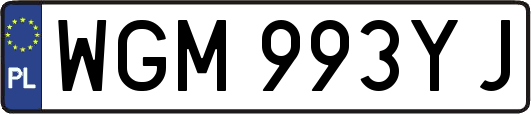 WGM993YJ