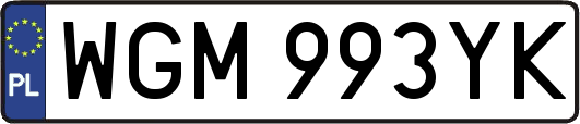 WGM993YK