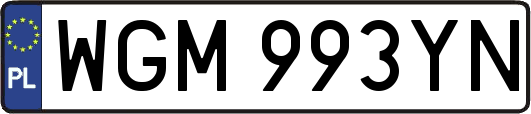 WGM993YN