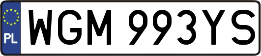 WGM993YS