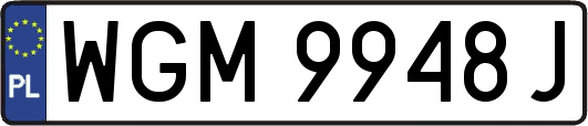 WGM9948J