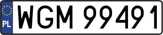 WGM99491