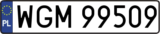 WGM99509