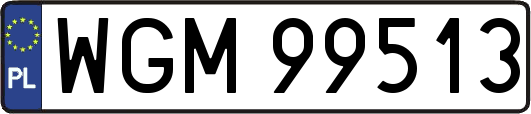 WGM99513