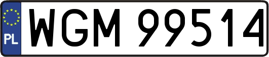 WGM99514