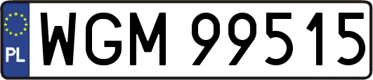 WGM99515